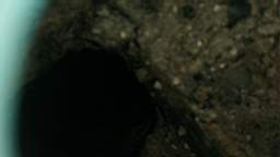 stcronans 2685.jpg